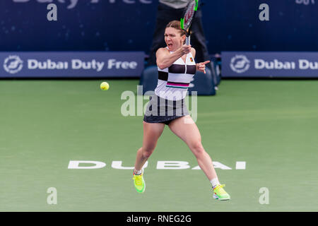 Dubai, VAE. 19 Feb, 2019. Simona Halep von Rumänien in Aktion in der zweiten Runde gegen Eugenie Bouchard von Kanada während der Dubai Duty Free Tennis Meisterschaft am Dubai International Tennis Stadium, Dubai, UAE am 19. Februar 2019. Foto von Grant Winter. Credit: UK Sport Pics Ltd/Alamy leben Nachrichten Stockfoto