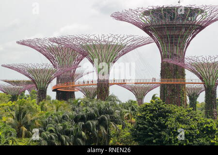 SuperTree Grove Gardens by the Bay, Singapur Stockfoto