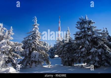 Funkübertragung Turm und schneebedeckte Bäume auf Mt Brocken, Harz, Sachsen-Anhalt, Deutschland, Europa Stockfoto