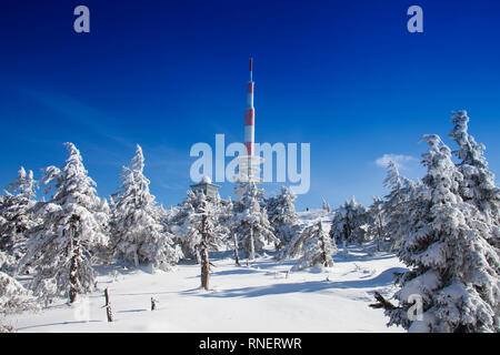 Funkübertragung Turm und schneebedeckte Bäume auf Mt Brocken, Harz, Sachsen-Anhalt, Deutschland, Europa Stockfoto