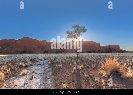 Sonnenuntergang an der versteinerten Dünen Stockfoto