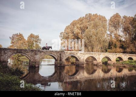 Pferde Kreuzung Essex Brücke von der Shugborough Estate in Staffordshire Stockfoto