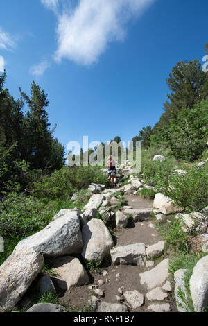 Weibliche Wanderer macht ihren Weg auf einer bergauf in den kleinen Seen Tal Wandergebiet von Kalifornien östlichen Berge der Sierra Nevada Stockfoto