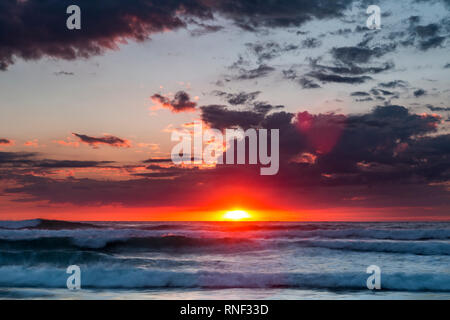 Waitakere Ranges Auckland, KereKere Strand bei Sonnenuntergang, NorthIsland Neuseeland Stockfoto