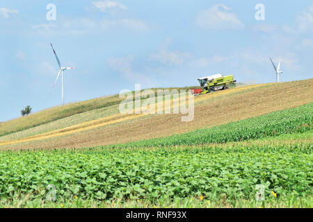 Mähdrescher arbeiten im Ackerland im Frühjahr und Windpark in Abstand Stockfoto