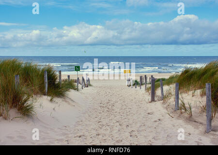 Weg durch die Dünen zum Strand in Petten, Niederlande, das gelbe Schild "kein Rettungsschwimmer" in vier Sprachen Stockfoto