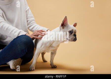7/8-Ansicht der Frau in der Nähe von Französische Bulldogge sitzen auf beigen Hintergrund Stockfoto