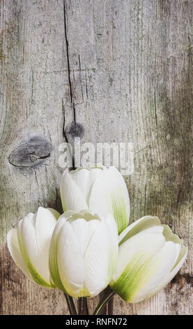 Schönen Blumenstrauß von künstlichen Weißen Tulpen in Holz- Hintergrund. Muttertag Konzept mit kopieren. Stockfoto