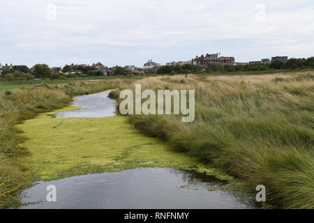 Wandern entlang des Flusses Alde in Richtung Küste und auf Aldeburgh, Suffolk, England, Großbritannien Stockfoto