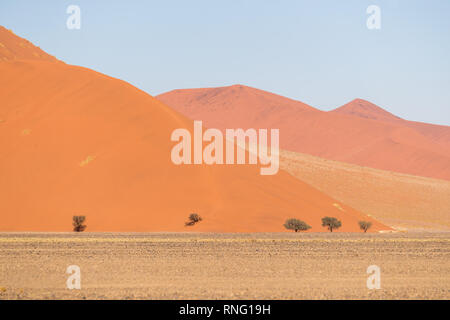 Afrikanische Landschaft, schöne rote Sanddünen genannt Dune 47 in den Namib Naukluft National Park, Sossusvlei, Namibia Stockfoto