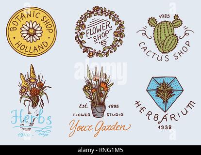 Flower Shop Embleme und Hell Logo. Vintage Bouquet. Gartenarbeit Zeichen und Schönheit retro Label. Hand gezeichnet Abzeichen. Blumen Hochzeit vorlagen. Stock Vektor