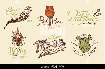 Flower Shop Embleme und Hell Logo. Vintage Bouquet. Gartenarbeit Zeichen und Schönheit retro Label. Hand gezeichnet Abzeichen. Blumen Hochzeit vorlagen. Stock Vektor
