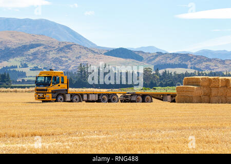 Sheffield, Canterbury, Neuseeland, 48. Februar 2019: Ein langer gelber Hawkins Transporter Truck in den Einkaufswagen gestapelt Heu in einem Bauernhof Feld Stockfoto