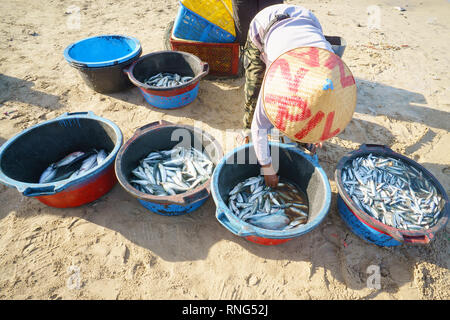 Bali Indonesien - Apr 5, 2016: Fischer Trennung der Fische am Jimbaran Beach auf Bali auf der Apr 5, 2016. Jimbaran Dorf ist unter den berühmten Platz Fische zu sehen Stockfoto