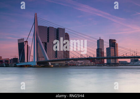 ROTTERDAM, Niederlande - 17. Februar 2019: Die erasmusbrug über die Maas ist ein Teil der Skyline von Rotterdam. Stockfoto