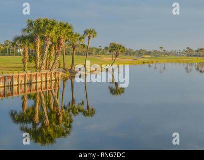 Palmen am See Vedra. Ponte Vedra Beach, Florida Stockfoto