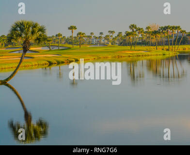 Palmen am See Vedra. Ponte Vedra Beach, Florida Stockfoto