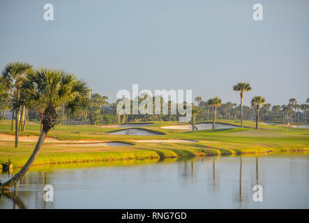 Palmen am See Vedra. Ponte Vedra Beach, Florida Stockfoto