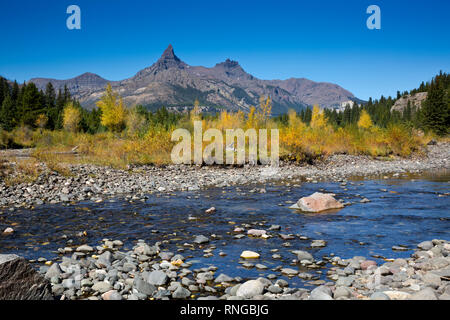 WYOMING - Herbst Farbe entlang den Ufern der Clark Fork des Yellowstone River mit Pilot- und Index Peaks jenseits, in der Shoshone National Forest. Stockfoto