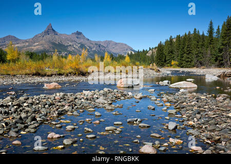 WYOMING - Herbst Farbe entlang den Ufern der Clark Fork des Yellowstone River mit Pilot- und Index Peaks jenseits, in der Shoshone National Forest. Stockfoto