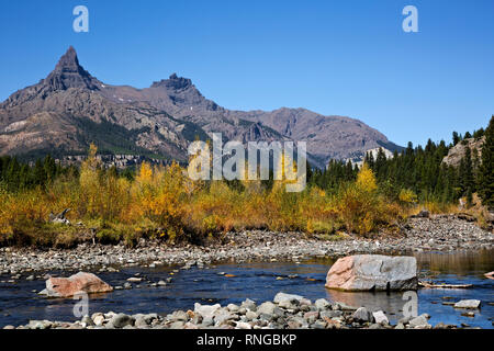 WYOMING - Herbst Farbe entlang den Ufern der Clark Fork des Yellowstone River unter Pilot- und Index Peaks, in der Shoshone National Forest. Stockfoto