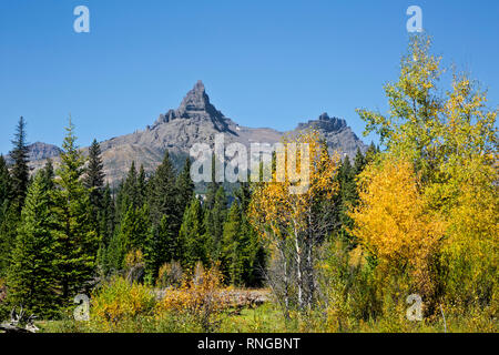 WYOMING - Herbst Farbe entlang den Ufern der Clark Fork des Yellowstone River unter Pilot- und Index Peaks, in der Shoshone National Forest. Stockfoto