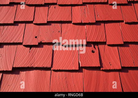 In der Nähe von Rot lackiert Cedar Schindeln an der Seite eines Gartenhaus Stockfoto