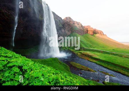 Sonnenaufgang auf dem Seljalandfoss Wasserfall auf Seljalandsa Fluss, Island, Europa Stockfoto