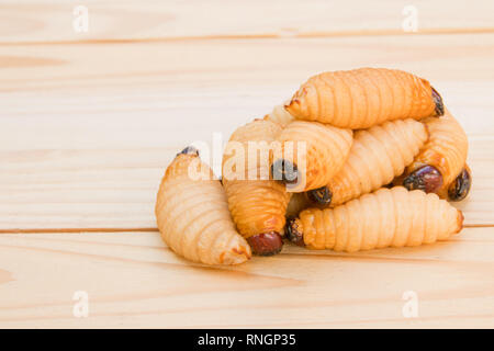 Red Palm Rüsselkäfer auf dem Holzboden Hintergrund (rhynchophorus Art) Larven von Insekten selektiven Fokus mit einer geringen Tiefenschärfe Stockfoto