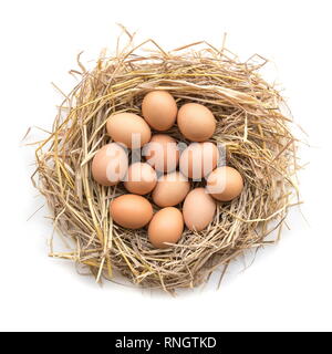 Blick von oben auf die Hühner Eier in ein Nest auf einem weißen Hintergrund. Stockfoto