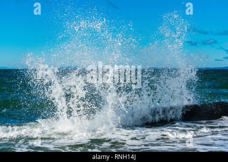 Wellen am Strand | Whidbey Island, Washington Stockfoto