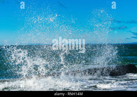 Wellen am Strand | Whidbey Island, Washington Stockfoto