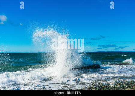 Wellen am Strand | Whidbey Island, Washington Stockfoto