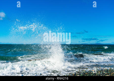 Wellen am Strand | Whidbey Island, Washington Stockfoto