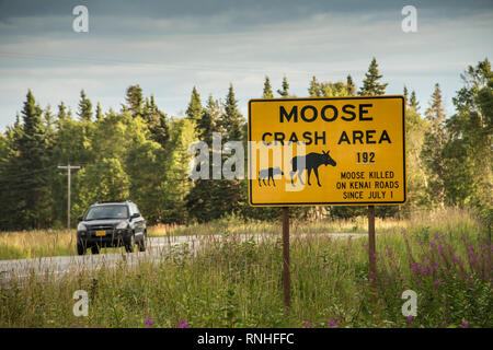 Elche Crash-bereich Schild warnt die Autofahrer vorsichtig sein beim Fahren in diesem Bereich auf der Kenai Halbinsel in der Nähe von Soldotna, Alaska, USA, Nordamerika Stockfoto