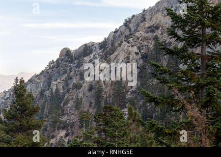 Blick auf die Berge durch die Bäume auf den Mt. Whitney Trail in der Nähe von Lone Pine, Kalifornien, USA Stockfoto