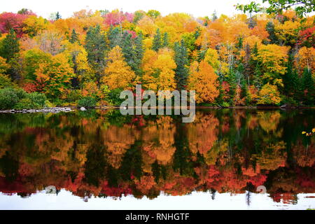 Die Farben des Herbstes, Sainte-Catherine-de-la-Jacques-Cartier, Québec Stockfoto