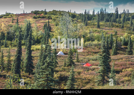 Wonder Lake Campground, Denali National Park, Alaska, USA Stockfoto