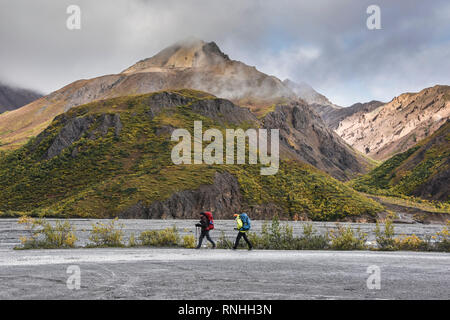 Backpackers entlang der Toklat Fluss, Denali National Park, Alaska, USA Stockfoto