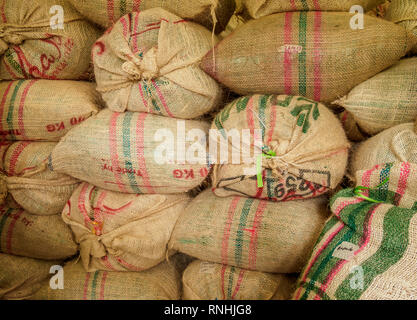 Kaffeebohnen, El Ocaso Farm, Salento, Quindio Abteilung, Kolumbien Stockfoto