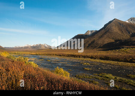 Wandern von Blackstone River, auf dem Dempster Highway im Herbst (Herbst), Yukon Territory, Kanada Stockfoto