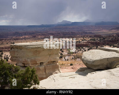 Bunte Canyon Wände der Salz Waschen sie übersehen in Utah. Felsformationen und ein Evergreen im Vordergrund. Stockfoto