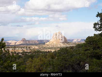 Ghost Felsen im südlichen Utah mit Evergreens im Vordergrund und bewölktem Himmel oben. Stockfoto