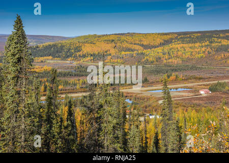 Stadt von Huhn, Taylor Highway, Tok zu Eagle, Alaska, USA Stockfoto