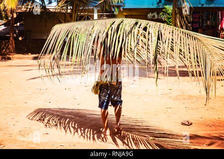 Mann, der einen palm leaf über seinem Kopf Stockfoto