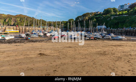 Ilfracombe, Devon, England, Großbritannien - 28 September, 2018: Blick vom Kai auf den Hafen in Richtung Hillsborough Terrasse Stockfoto