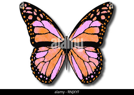 3D-Darstellung. Bunte Schmetterling fliegt mit offenen Flügeln auf einem weißen Hintergrund. Stockfoto