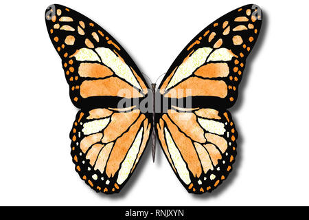 3D-Darstellung. Bunte Schmetterling fliegt mit offenen Flügeln auf einem weißen Hintergrund. Stockfoto