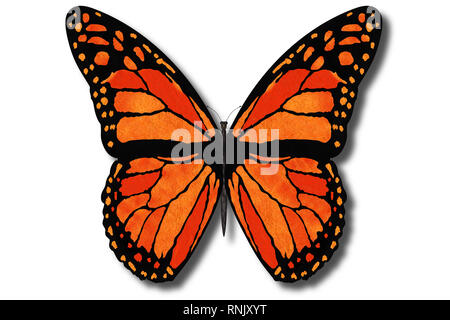 3D-Darstellung. Bunte Schmetterling fliegt mit offenen Flügeln auf einem weißen Hintergrund. Stockfoto