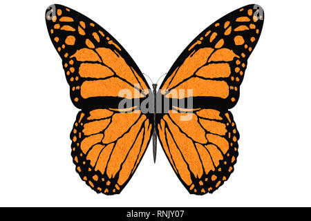 3D-Darstellung. Bunte Schmetterling fliegt mit offenen Flügeln auf einem weißen Hintergrund. Stockfoto